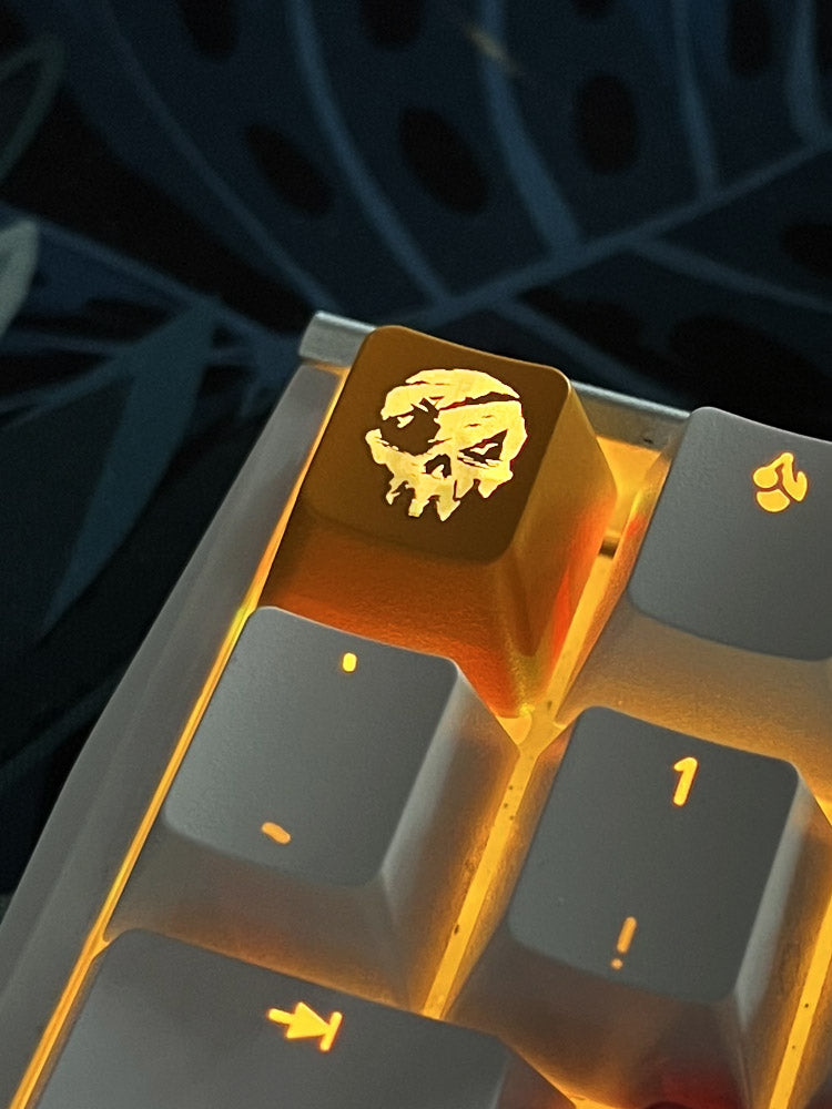 ESC Key R4 Keys replacement keycaps Backlit and ABS material FREE keypuller