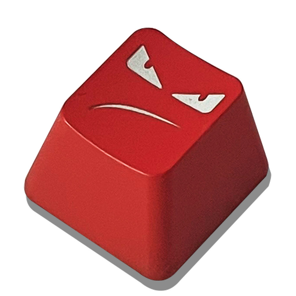 ESC Key R4 Keys replacement keycaps Backlit and ABS material FREE keypuller