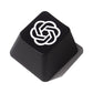 ESC Key R4 Keys replacement keycaps Backlit and ABS material FREE keypuller
